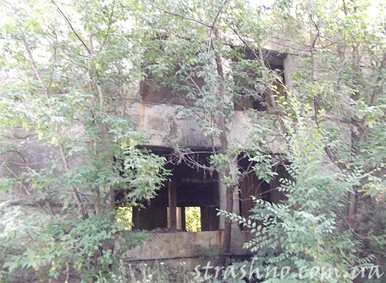 Здание, разрушаемое растениями