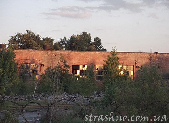 Заброшенные цеха завода