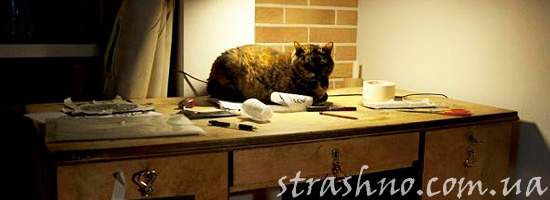 Мистическая история про стол