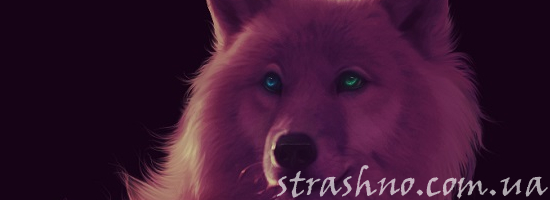 белая собака