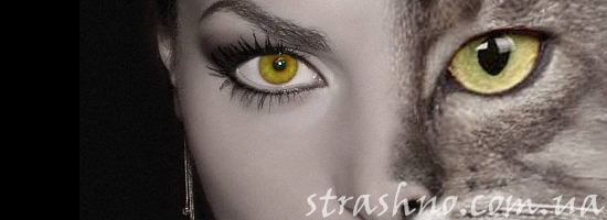 кошачий глаз