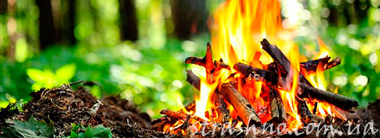 Костер в лесу