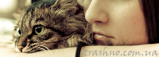 Мистическая история про кошку