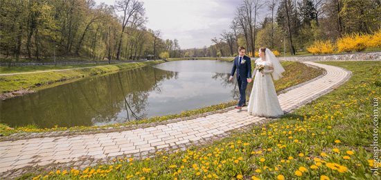 молодожены в парке