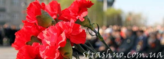 гвоздики праздник победы