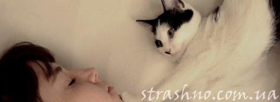 пробуждение кошка девушка