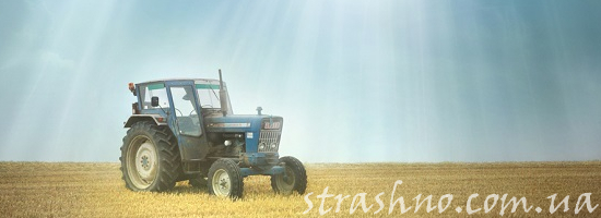 трактор на поле