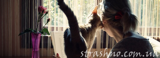 кошка женщина нежность
