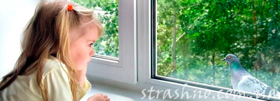 девочка у окна