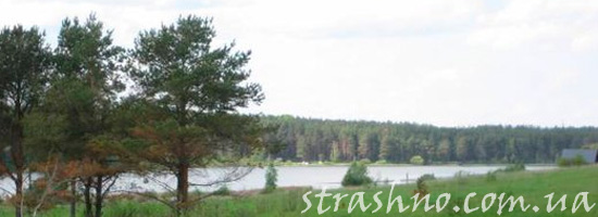 привидение на дачном участке