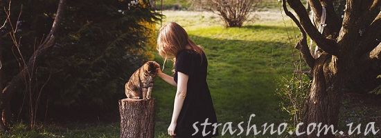 кошка на пеньке загород девушка