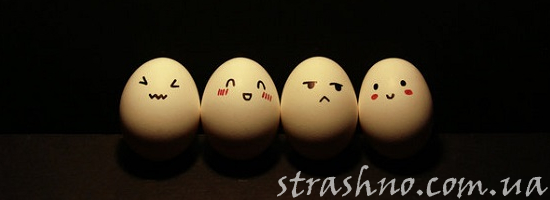 смеющиеся яйца