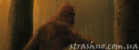 снежный человек