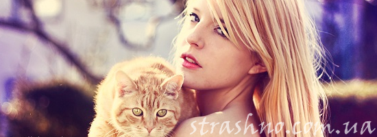 блондинка рыжий кот