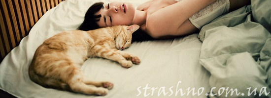 котик на кровати