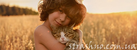 мальчик поле кошка
