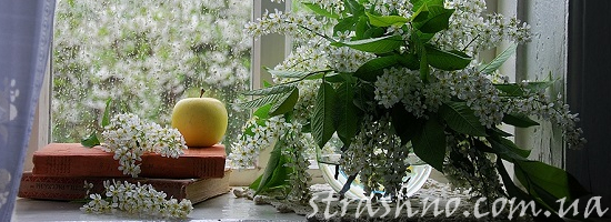 дача букет сирени лето