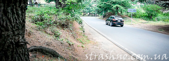 случай на дороге