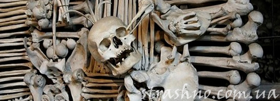 мистическая история о ритуале на костях