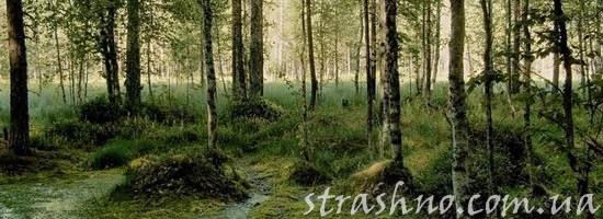 болото север