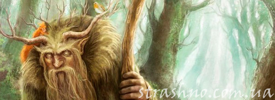 история о заблудившихся в лесу