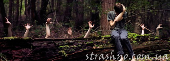 помощь лесника