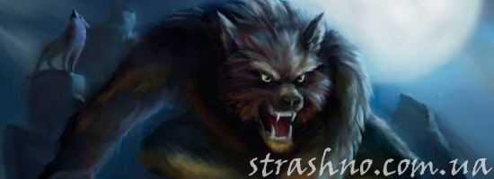 история о встрече с оборотнем