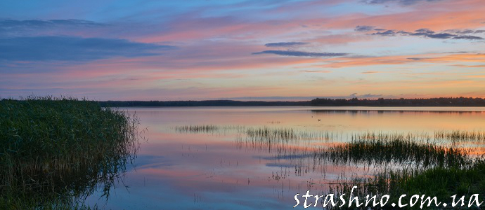 Приключение на подводной охоте