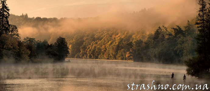 Розовый туман