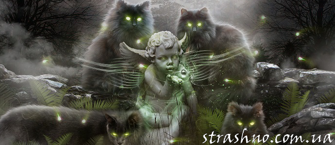 мистические кошки кладбище