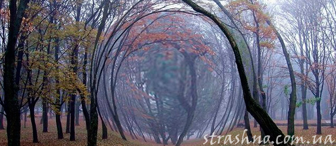 рассказ об аномальной зоне