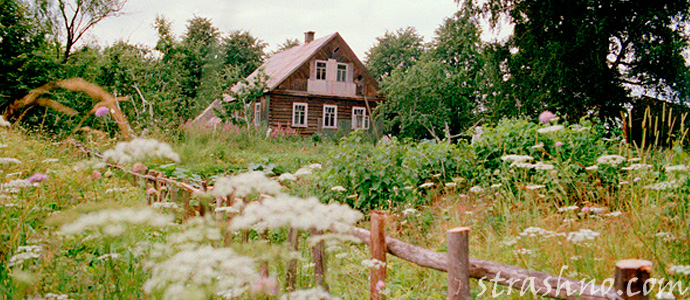 странное происшествие в северной деревне