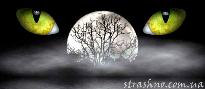 история одного проклятия