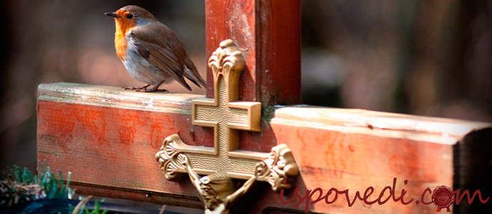 мистические сны об умершем дедушке