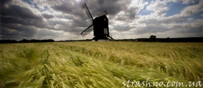 мистика на пшеничном поле