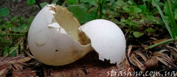 страшная порча на потерю здоровья