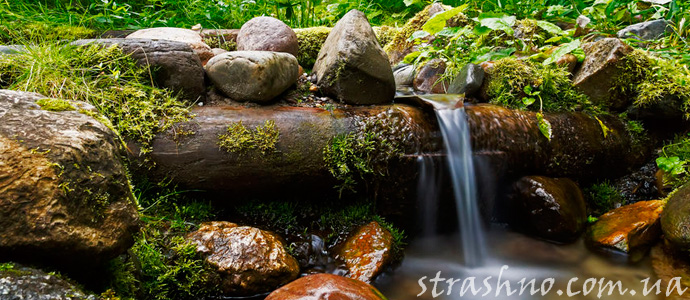 рассказ о таежной деревне