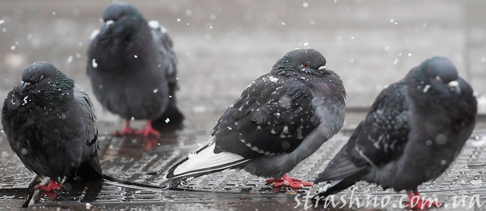 история об ускорении времени