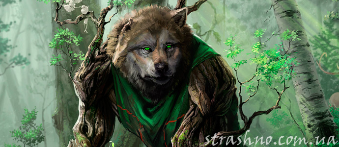 история о встрече с оборотнем