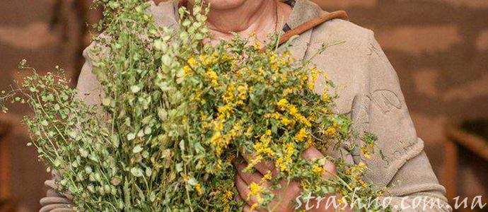 история о лечении травами и заговорами