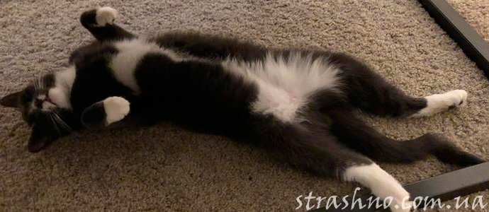 советы для спокойных снов