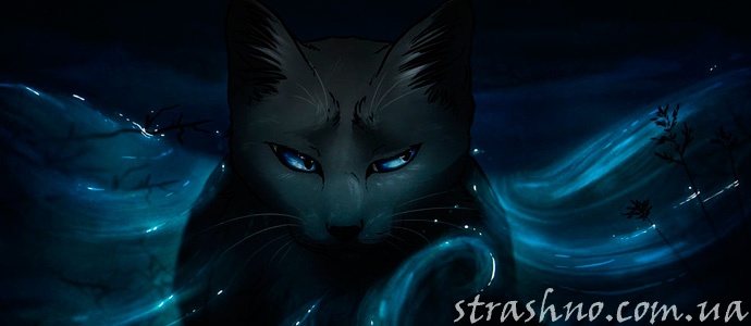 смешной и страшний случай