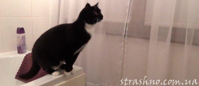 мистическое ночное происшествие