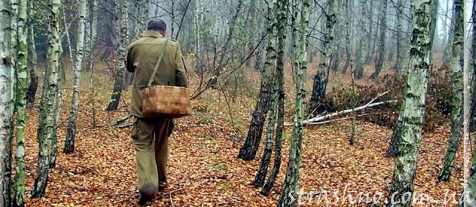 приключение грибников в лесу