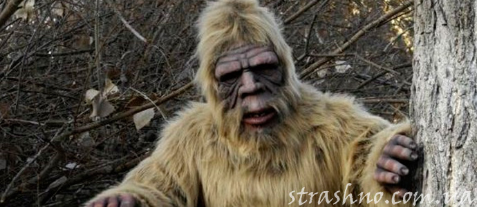 история о встрече с оборотнем