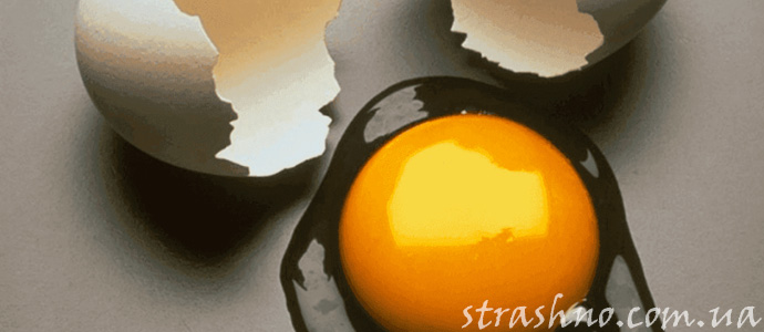 история о порче с помощью подброшенных яиц