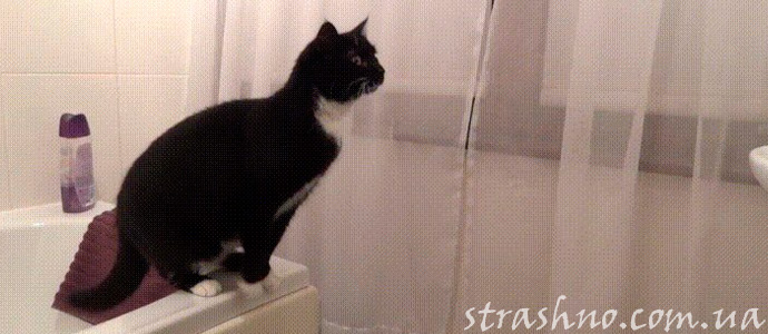 мистическая история о ночных шорохах