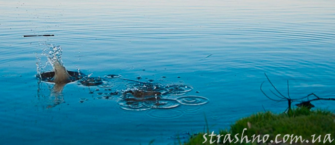 мистическая смерть обоих супругов