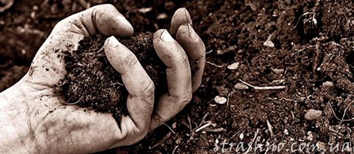 мистическая история о земле покойника