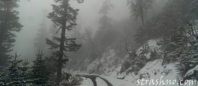 художественный рассказ о пророческом сне